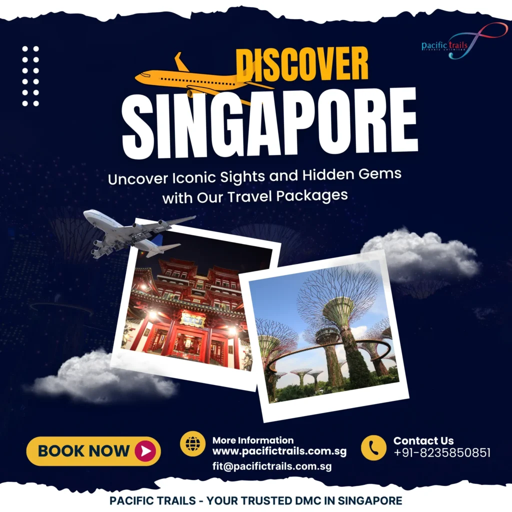 best Digital marketing agency In Bangalore,digital pirates(1)